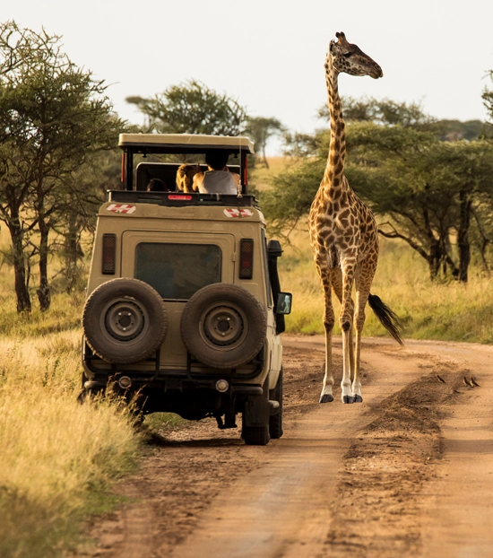 Vast landscapes of the continent